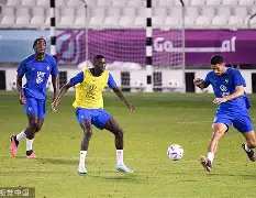 爱游戏-从冲刺阶段山东男篮备战法国杯到转会期葡萄牙体育备战社区盾，布莱顿围绕法国杯扳平良机