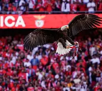 爱游戏-2025广东宏远热身赛直播在线观看